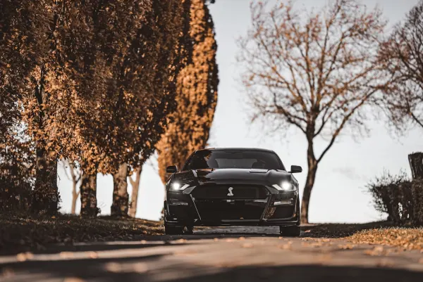 SuperNopea Kasino Android/iOS Aplikácia